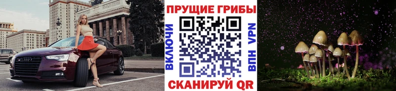 Псилоцибиновые грибы Cubensis  Мостовской 